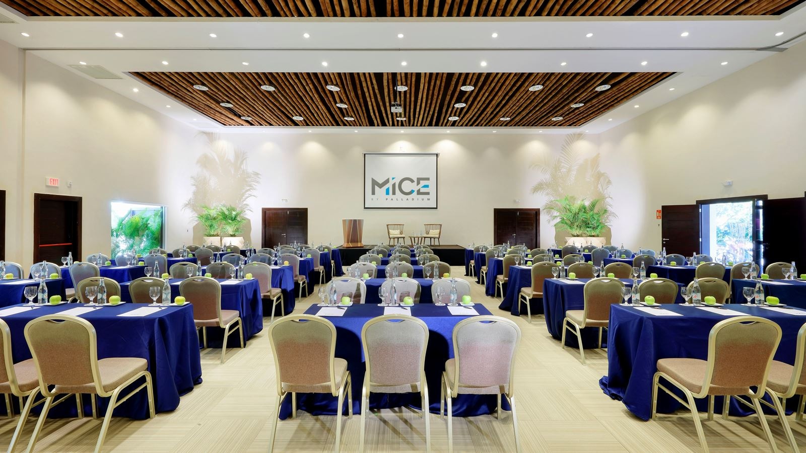 mice-mice
