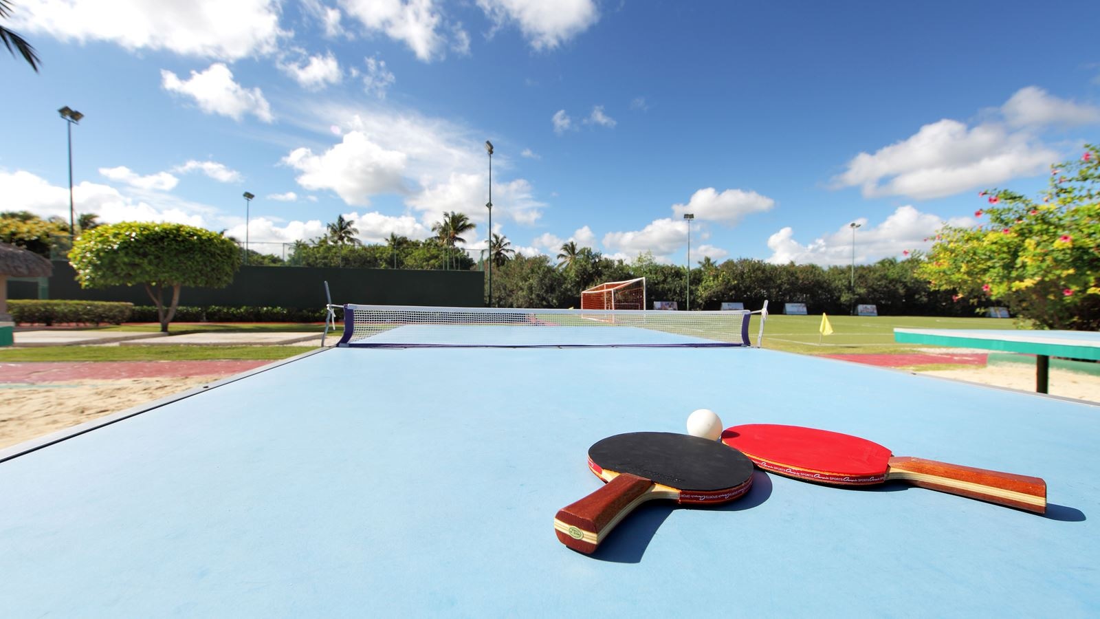 sport-sport