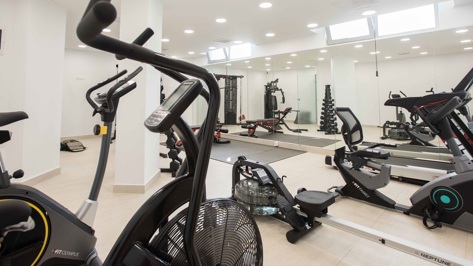 sport-sport