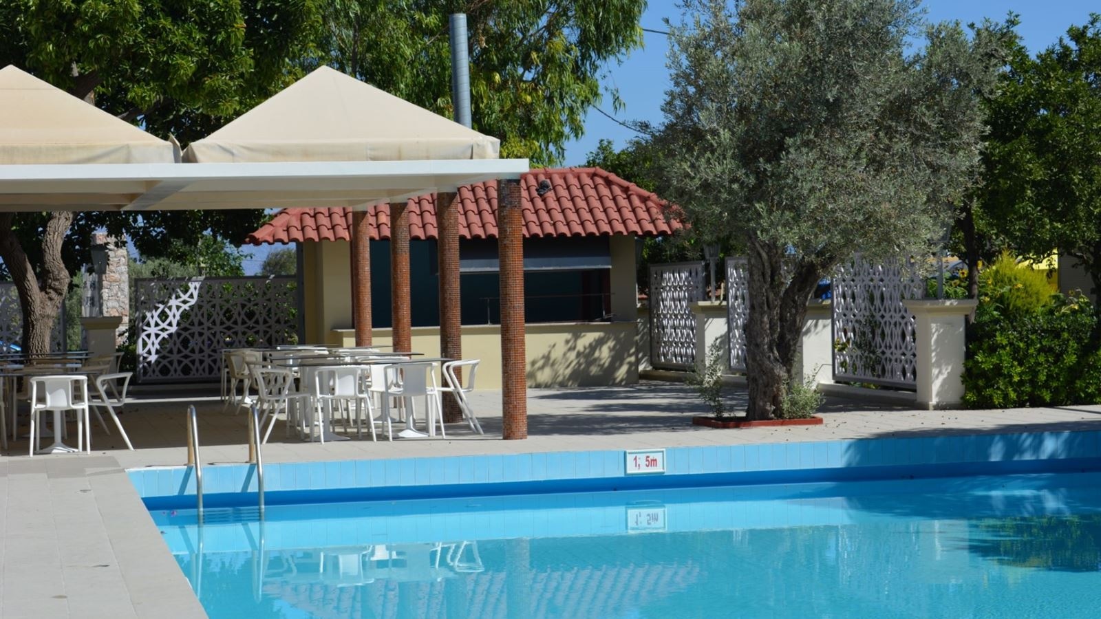 restaurants-snack-bar