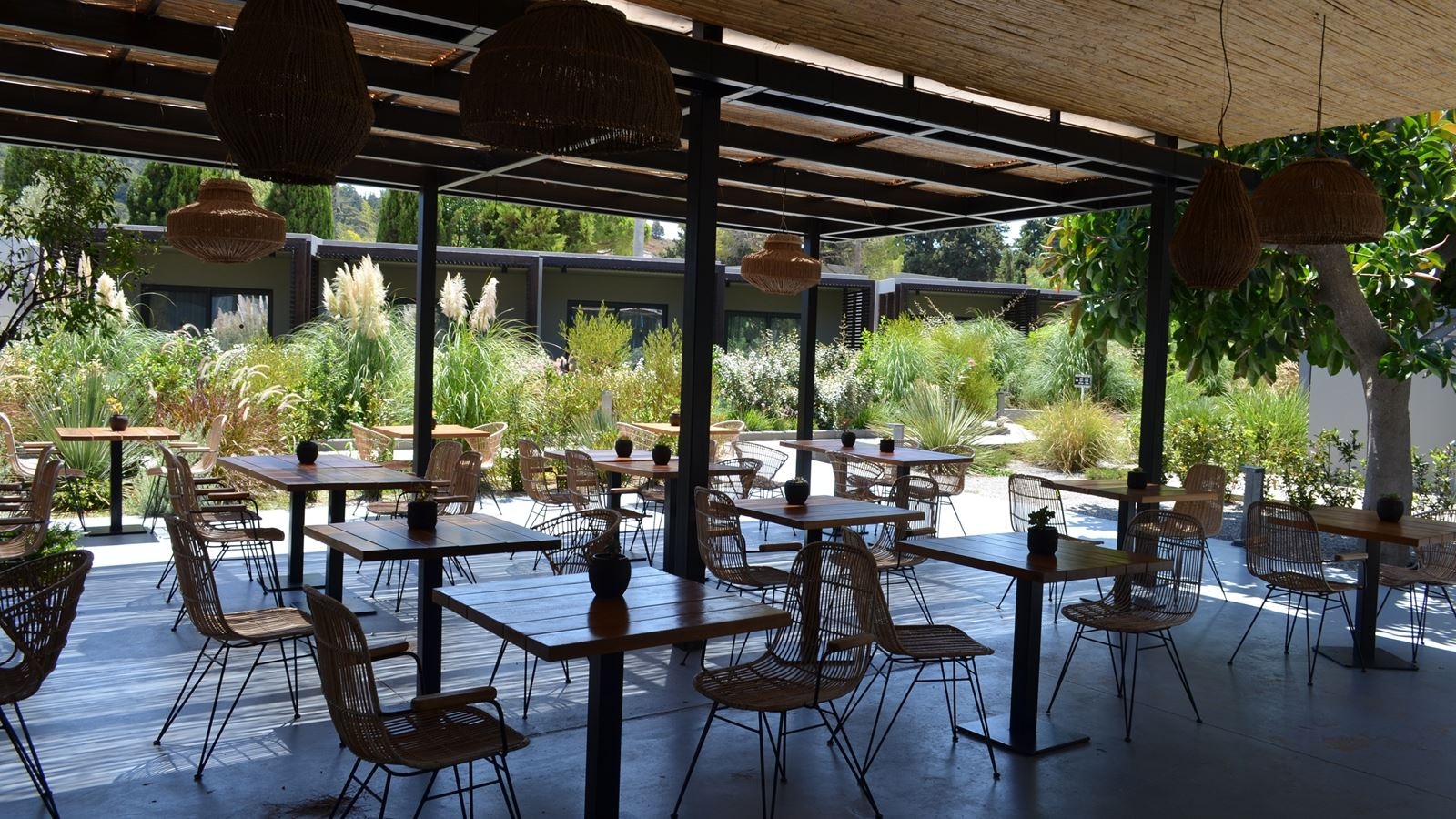 restaurants-cantina-restaurant