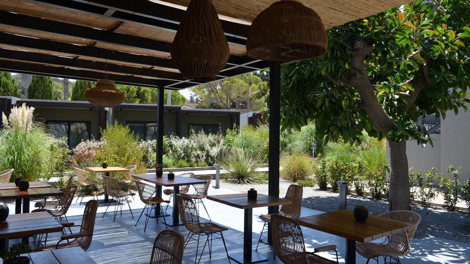 restaurants-cantina-restaurant