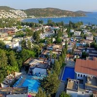 Üldist preview