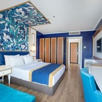 Toad preview