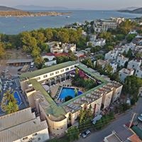 Üldist preview