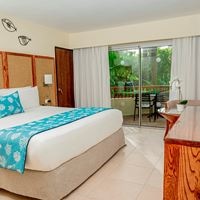 Toad preview