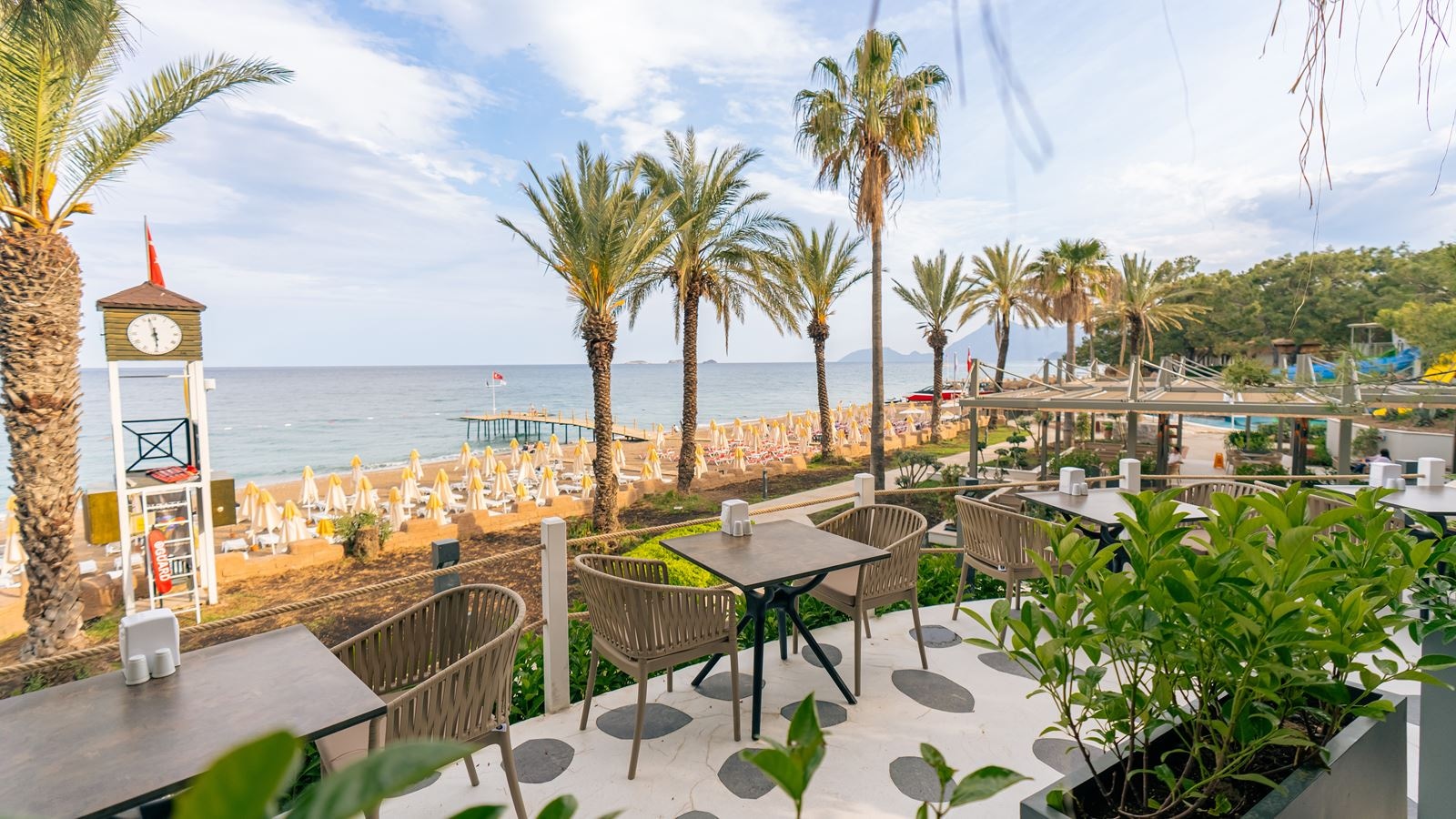 bars-the-compass-beach-bar