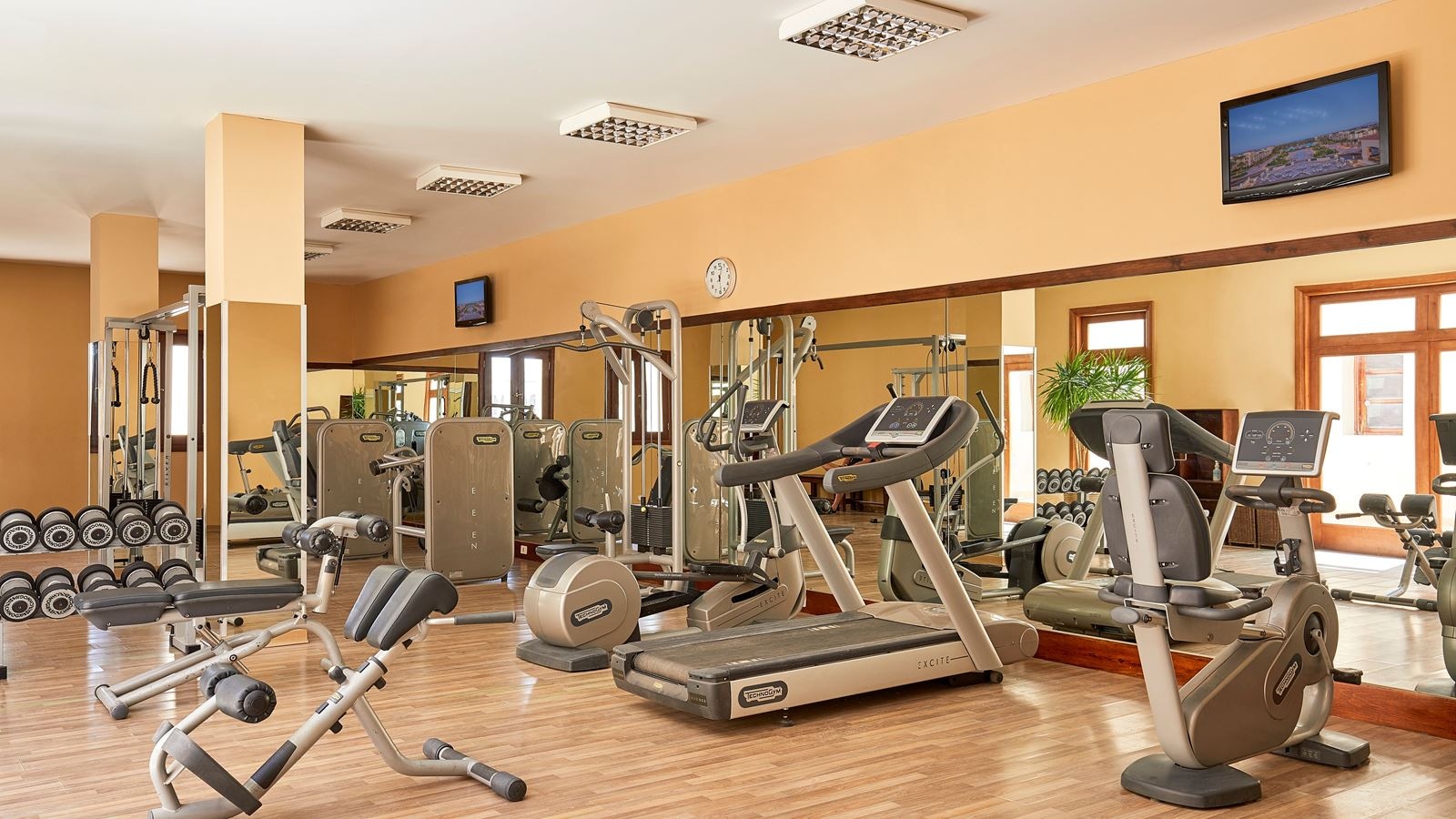sport-sport